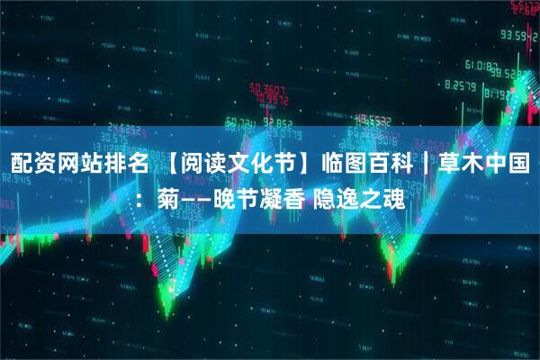 配资网站排名 【阅读文化节】临图百科｜草木中国：菊——晚节凝香 隐逸之魂